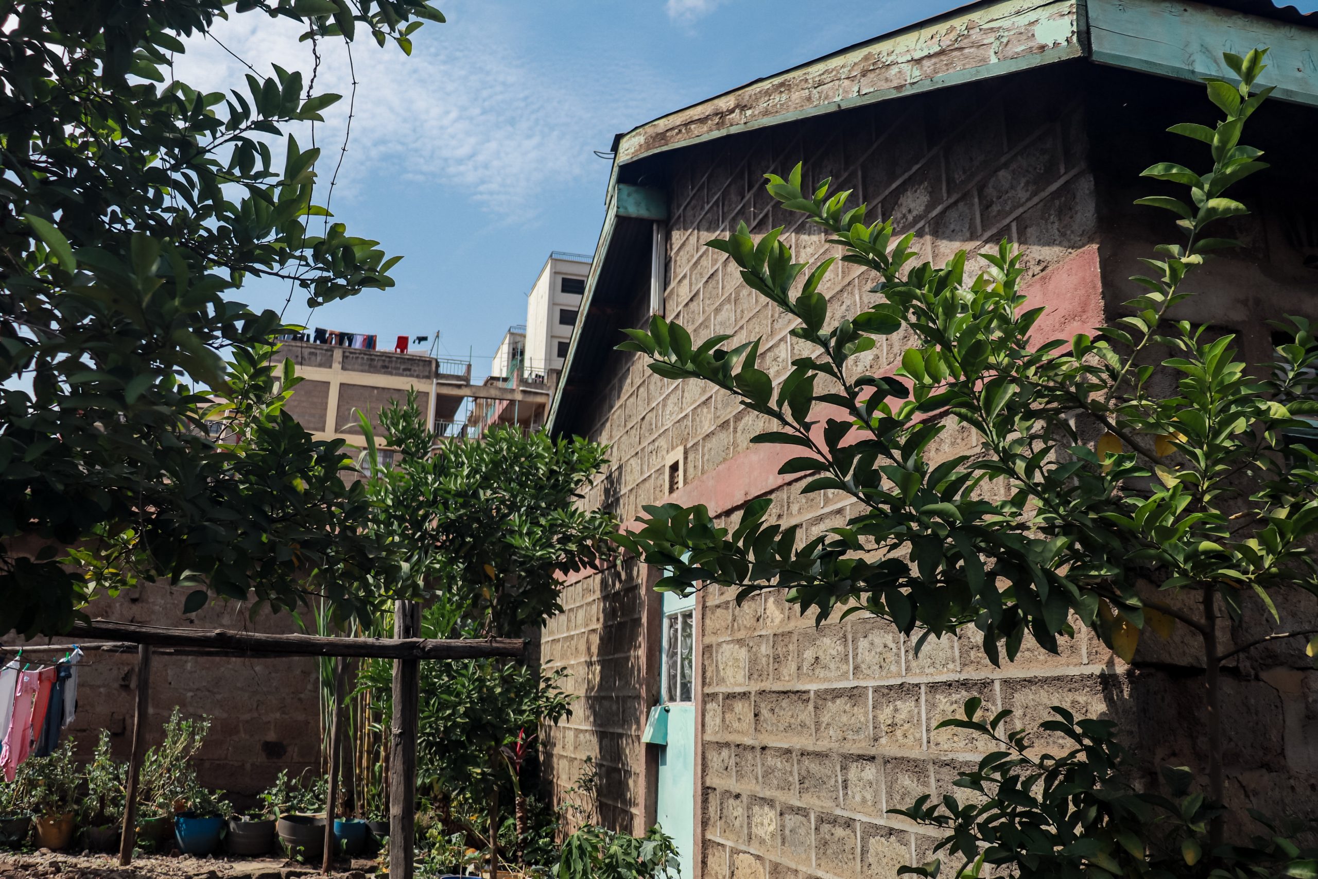 Preview image scaled