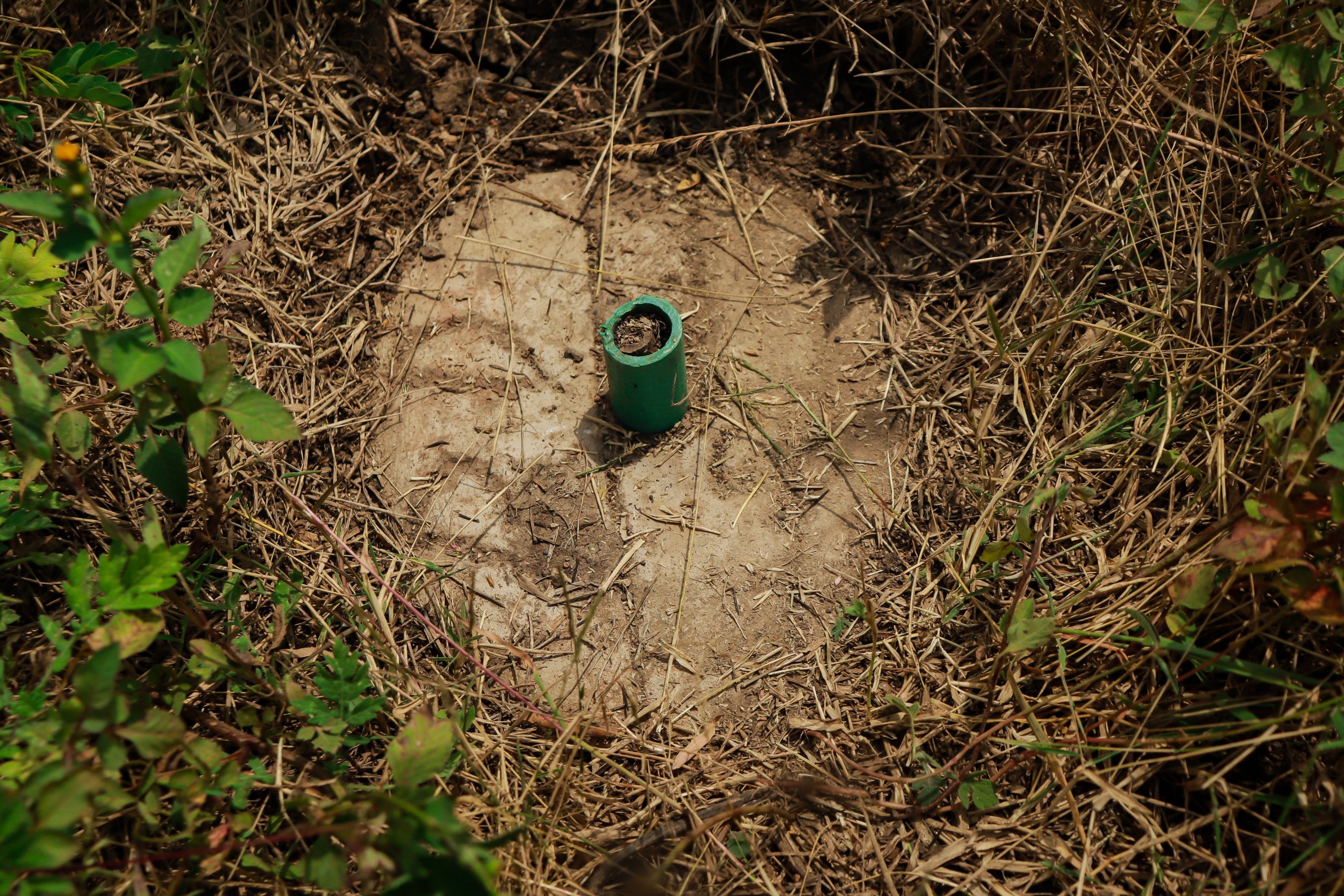 Ruiru Magomano 4 scaled